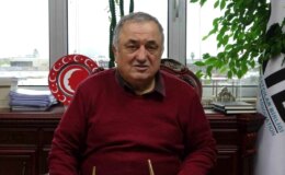 Türkiye’den Deniz Salyangozu İhracatı Hamsi İhracatını Katladı