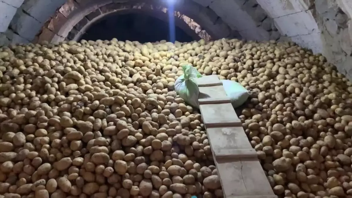 Niğde’deki Patates Krizi