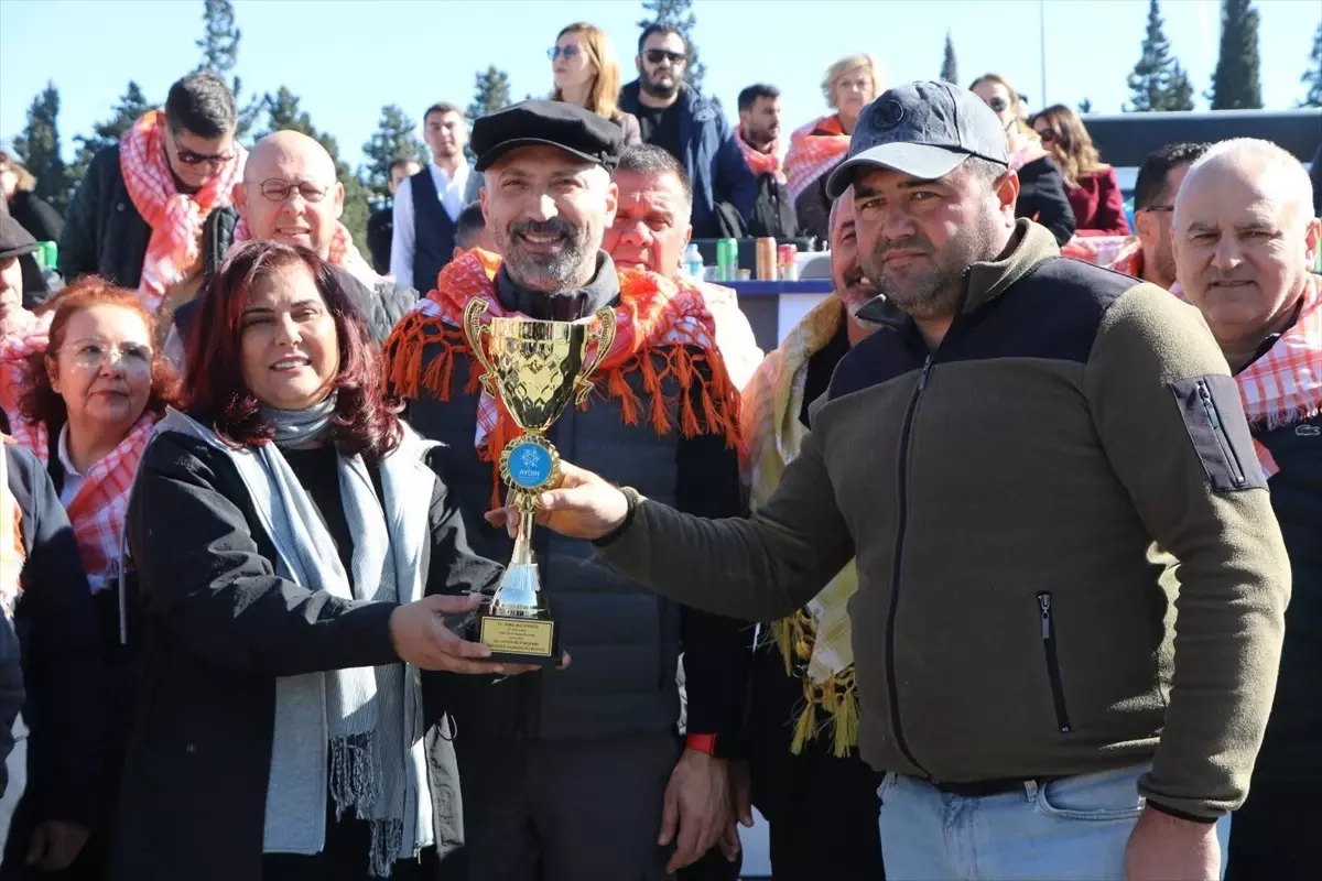 Söke’de 10. Deve Güreşi Festivali
