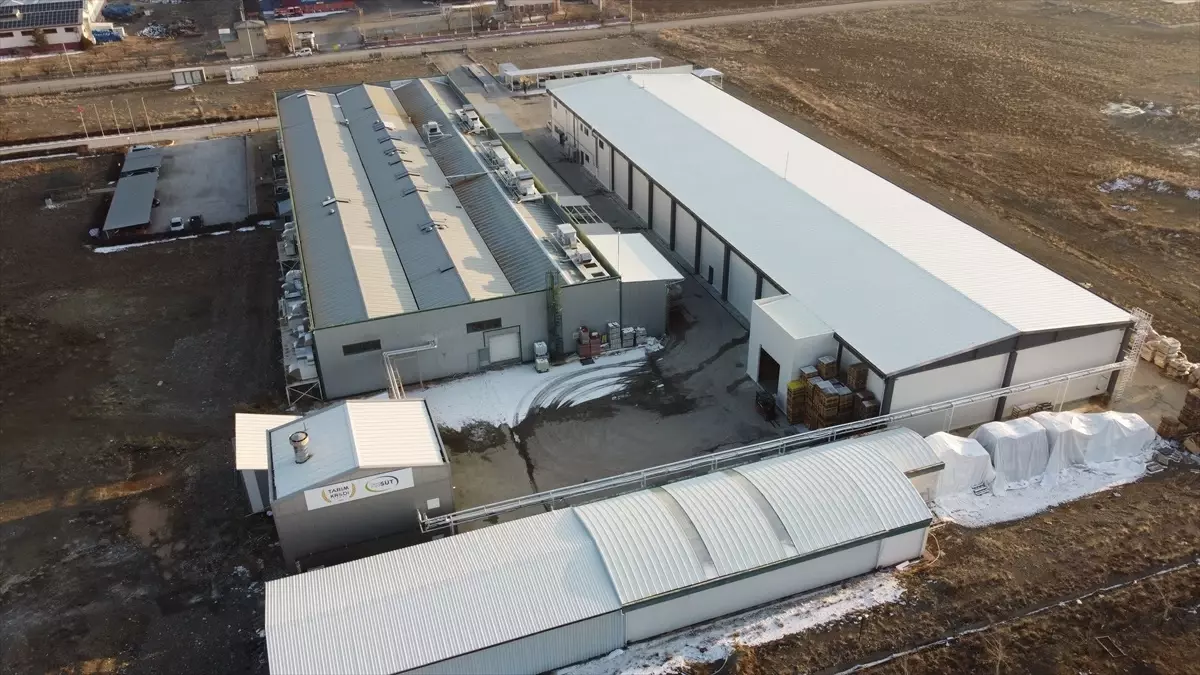 Erzincan’da Kaliteli Bal Üretimi Başladı